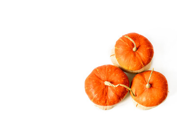 Orange pumkins  on white background. Fall autumn concept.