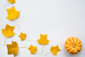 Naklejka premium Thanksgiving holiday objects for mock up template design. Autumn pumpkin and fall leaves. View from above. Flat lay, top view, overhead, copy space