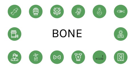 Set of bone icons such as Joint, Skull, Mammoth, Zombie, Poison, Fish bone, Pirate, Bone, Dog, X ray, Analgesic, Human organs ,