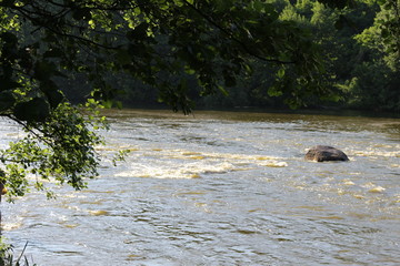 Small rapids on flat rivers attract tourists and travelers in the summer