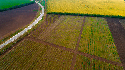 The highway road near some fields and a rapeseed orchard, shot from above.