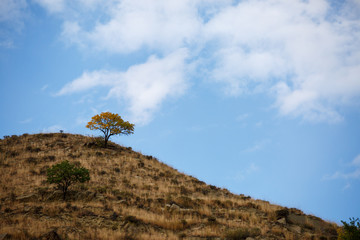 Photo of mountain hill with tree, blue sky with clouds
