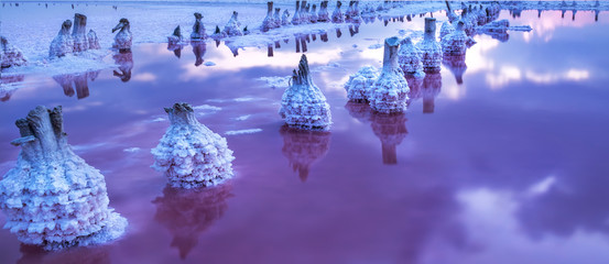 A fantastic picture of a salty pink lake with rows of salt columns in salt crystals after sunset....