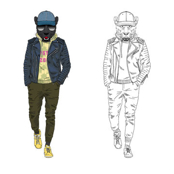 Panther man dressed up in leather jacket hoodie and cap. Anthropomorphic urban fashion wild cat animal illustration. City Hipster Black Leopard.