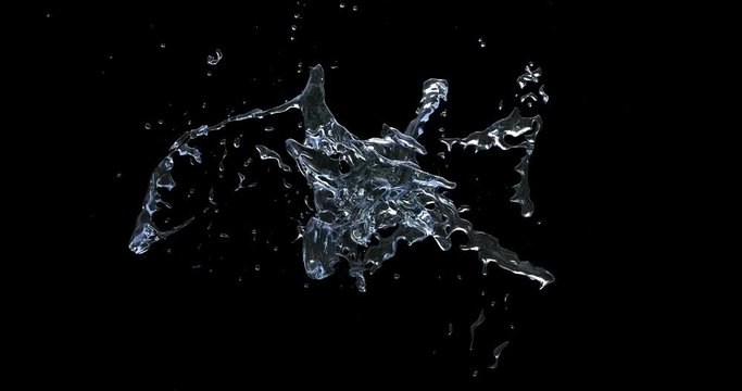 water splash isolated on black background