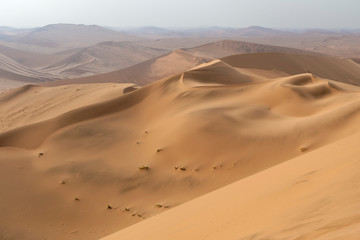Fototapeta na wymiar Colorful sand dunes in the Namib-Naukluft National Park, Namibia