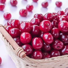 Ripe cherry in a wicker basket. Pink background