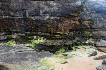 Stone with algae	