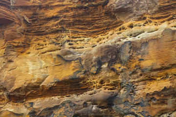 Stone with a beautiful Pattern