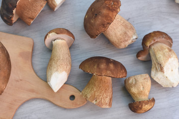 Boletus edulis, cep, porcino, porcini, mushroom. Fresh mushroom on cutting board, Food background