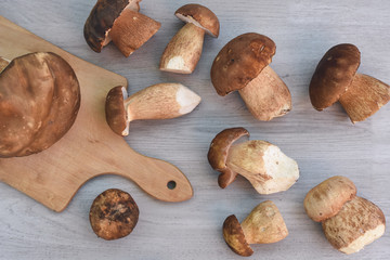 Boletus edulis, cep, porcino, porcini, mushroom. Fresh mushroom on cutting board, Food background