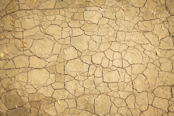 wasteland warmed cracked ground top view natural background picture 
