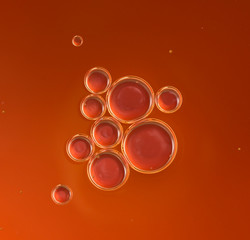 abstract Orange background with bubbles of oil 