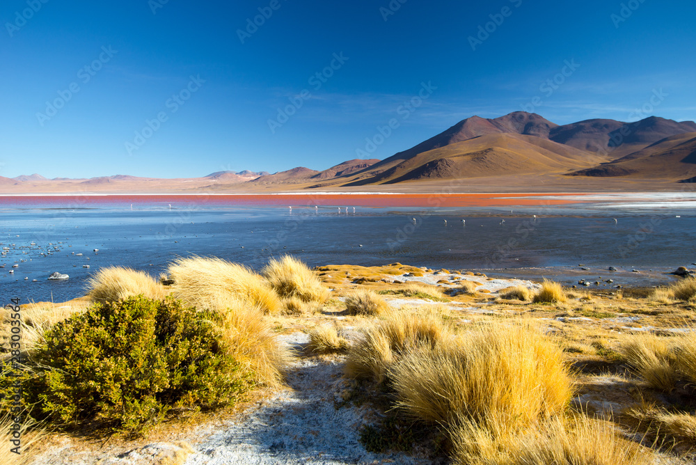 Sticker laguna colorada - red water lagoon. bolivia. south america