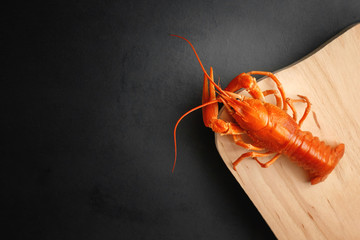 lobster on wooden board on black background top view