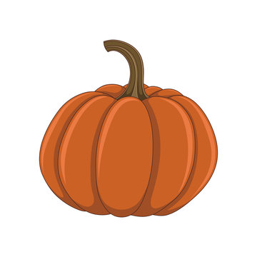 Color vector image of a pumpkin on a white background.