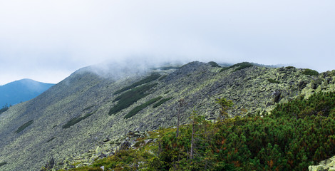 mountain peak covered with green stone scree in the low clouds