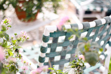 Lawn chair and flowers