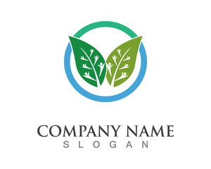 Vector leaves green nature logo template symbol