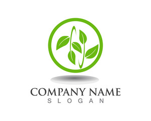 Vector leaves green nature logo template symbol