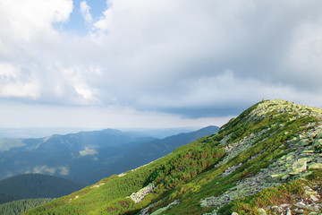 mountain peak covered with alpine pines and scree of big green stones. grey clouds