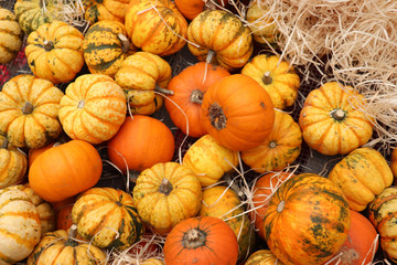 Autumn Decoration pumpkins