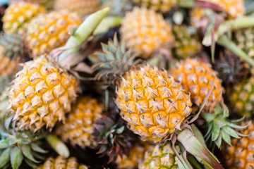 Fresh pineapple fruits. Tropical fruits concept. Healthy and vitamin food