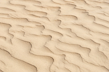 nature backround of smooth sand wave texture