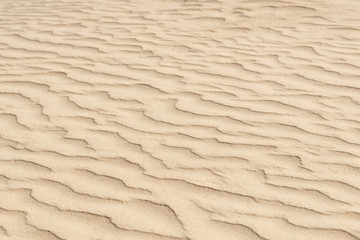 nature backround of smooth sand wave texture