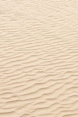 nature backround of smooth sand wave texture
