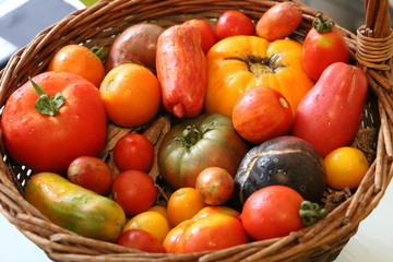 basket with fresh tomatoes