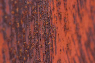 Rusty sheet metal. Bright texture