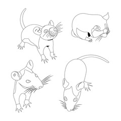 Coloring. Pet Rat. Decorative rat. Domestic rat. cute Rat. cute Pet