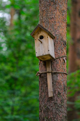 Birdhouse on the pine. House for birds close-up.