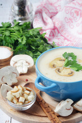 A bowl with mushroom cream soup
