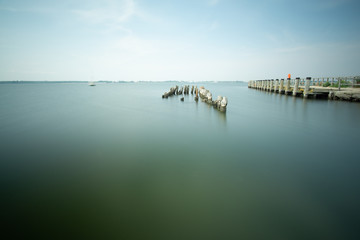Fototapeta premium landscape and wildlife