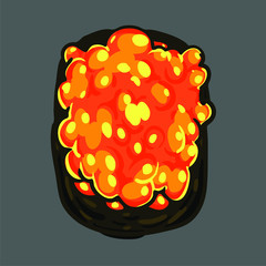 illustrator sushi  Salmon roe 
