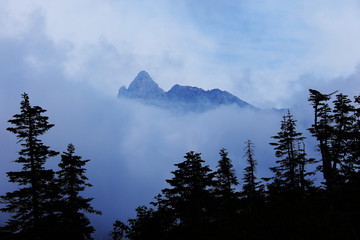北アルプス笠ヶ岳への道　小池新道　鏡平の風景　雲中に頭を覗かす槍ヶ岳