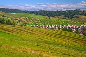 Houses on beautiful summer landscape. Housing concept photo