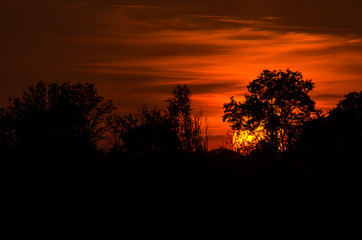 Fototapeta na wymiar THE SUN IS HIDING BEHIND TREES - Hot silent evening over the rural landscape