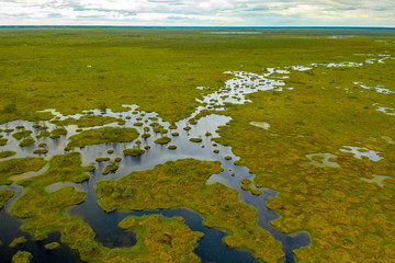 самое большое болото в Беларуси