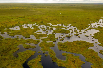 самое большое болото в Беларуси