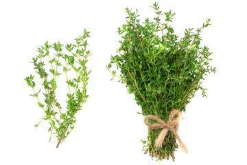 green thyme bunch isolated on white background. top view - obrazy, fototapety, plakaty