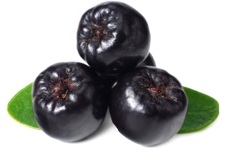 Chokeberry with green leaves isolated on white background. Black aronia