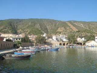 Fototapeta na wymiar Ghar El-Melh (Tunisia) harbour fishing boats houses and mountain