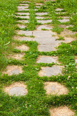 the path in the old Park overgrown with grass