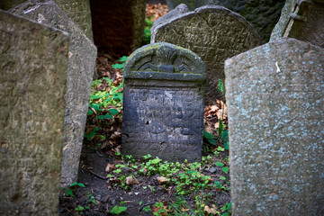 Obraz premium Cementerio judio de Praga, Republica Checa