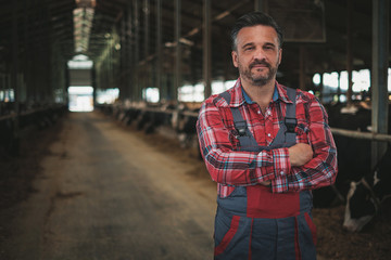 Farmer in a cowshed on a dairy farm.