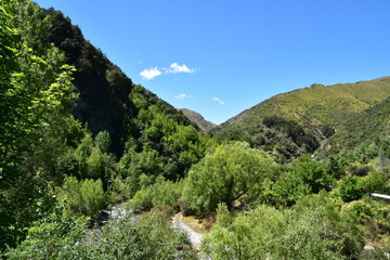 Fototapeta na wymiar Landscape with mountain and river in Arrowtown, New Zealand