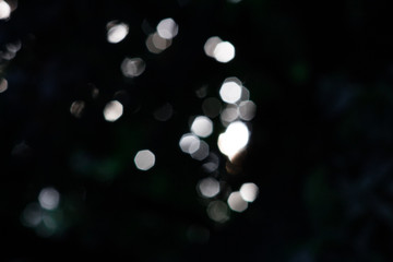 bokeh lights in the darkness